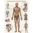 Knihy Plakty Anatomick modely