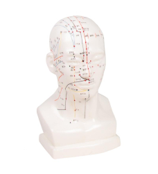 Èínská akupunkturní hlava