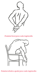 Spouov body a fascie