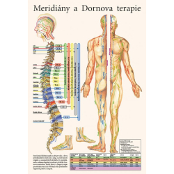 Plakát meridiány a Dornova terapie 47x32cm